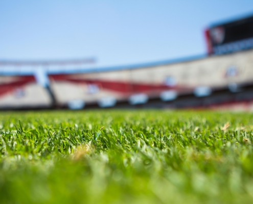 stadion